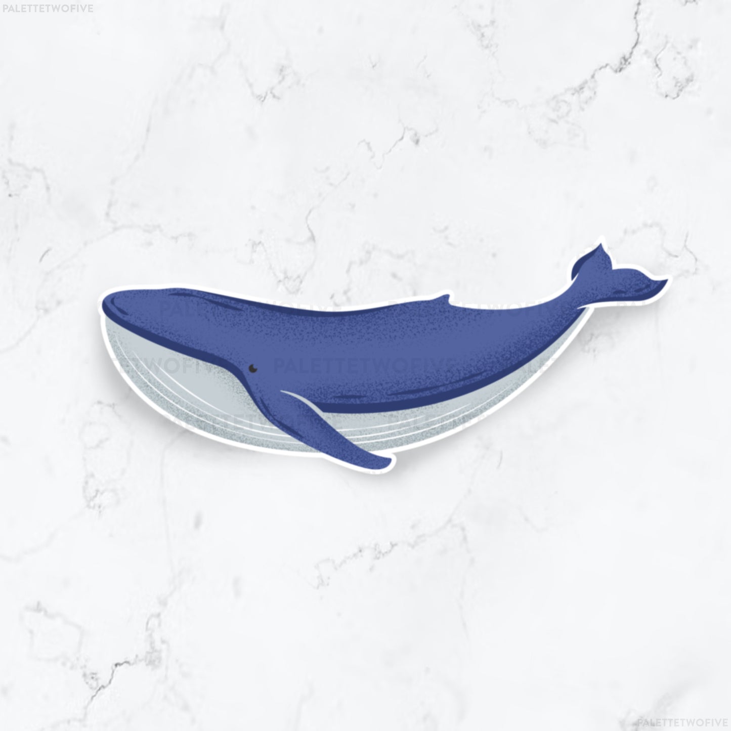 Gray Whale Sticker